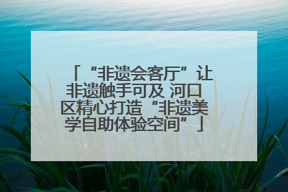 “非遗会客厅”让非遗触手可及 河口区精心打造“非遗美学自助体验空间”