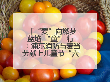 “麦”向燃梦 蓝焰 “童” 行：浦东消防与麦当劳献上儿童节“六一”礼