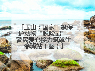 玉山：国家二级保护动物“脱险记” 警民爱心接力筑就生命驿站（图）
