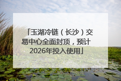玉湖冷链（长沙）交易中心全面封顶，预计2026年投入使用