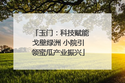 玉门：科技赋能戈壁绿洲 小院引领蜜瓜产业振兴