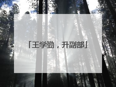 王学勤，升副部
