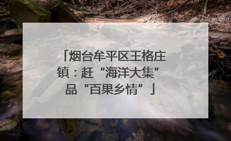 烟台牟平区王格庄镇：赶“海洋大集” 品“百果乡情”