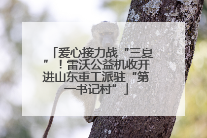 爱心接力战“三夏”！雷沃公益机收开进山东重工派驻“第一书记村”