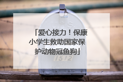 爱心接力！保康小学生救助国家保护动物冠鱼狗