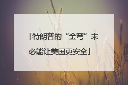 特朗普的“金穹”未必能让美国更安全