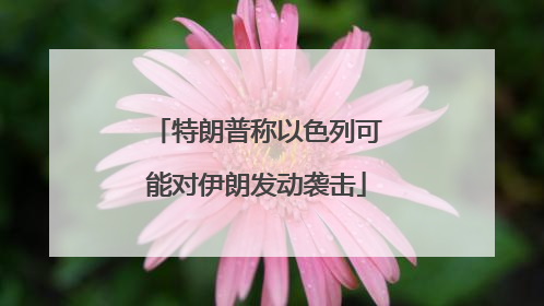 特朗普称以色列可能对伊朗发动袭击