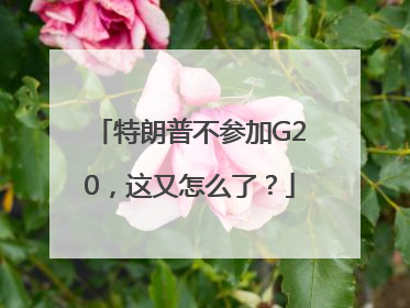 特朗普不参加G20，这又怎么了？