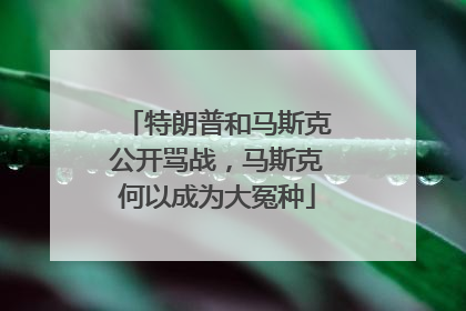 特朗普和马斯克公开骂战，马斯克何以成为大冤种
