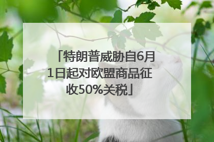 特朗普威胁自6月1日起对欧盟商品征收50%关税