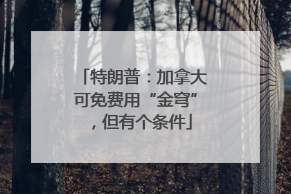 特朗普：加拿大可免费用“金穹”，但有个条件
