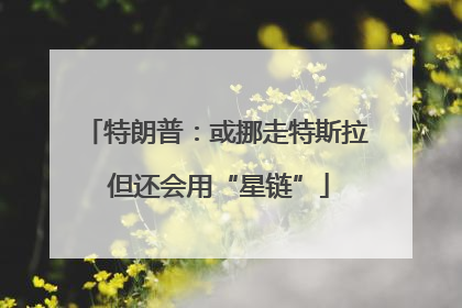 特朗普：或挪走特斯拉 但还会用“星链”