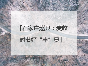 石家庄赵县：麦收时节好“丰”景