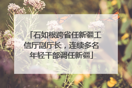 石如根跨省任新疆工信厅副厅长，连续多名年轻干部调任新疆
