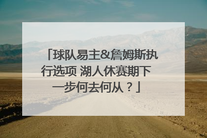 球队易主&詹姆斯执行选项 湖人休赛期下一步何去何从？