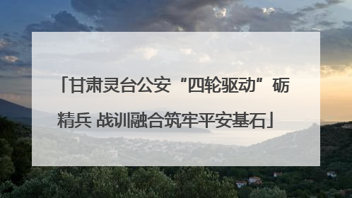 甘肃灵台公安“四轮驱动”砺精兵 战训融合筑牢平安基石