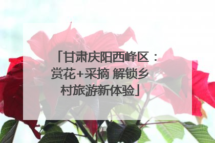 甘肃庆阳西峰区：赏花+采摘 解锁乡村旅游新体验