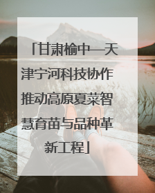 甘肃榆中—天津宁河科技协作推动高原夏菜智慧育苗与品种革新工程