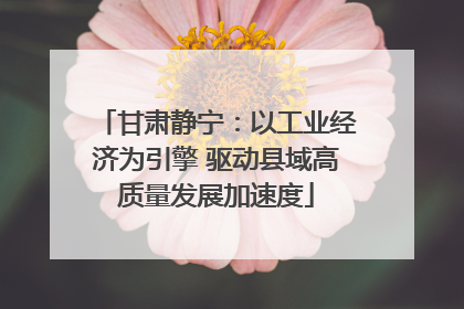 甘肃静宁：以工业经济为引擎 驱动县域高质量发展加速度