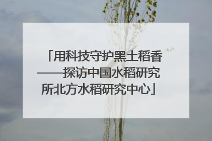 用科技守护黑土稻香——探访中国水稻研究所北方水稻研究中心