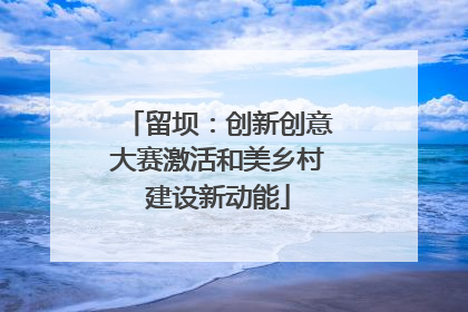 留坝：创新创意大赛激活和美乡村建设新动能