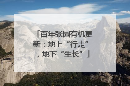 百年张园有机更新：地上“行走”，地下“生长”