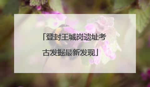 登封王城岗遗址考古发掘最新发现