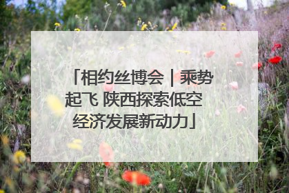 相约丝博会｜乘势起飞 陕西探索低空经济发展新动力