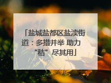 盐城盐都区盐渎街道：多措并举 助力“秸”尽其用