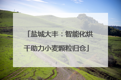 盐城大丰：智能化烘干助力小麦颗粒归仓