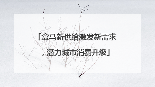 盒马新供给激发新需求，潜力城市消费升级