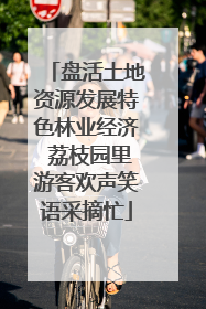 盘活土地资源发展特色林业经济 荔枝园里游客欢声笑语采摘忙