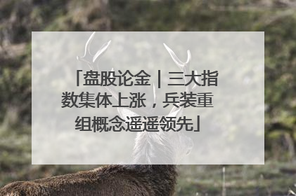 盘股论金｜三大指数集体上涨，兵装重组概念遥遥领先
