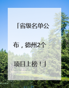 省级名单公布，德州2个项目上榜！