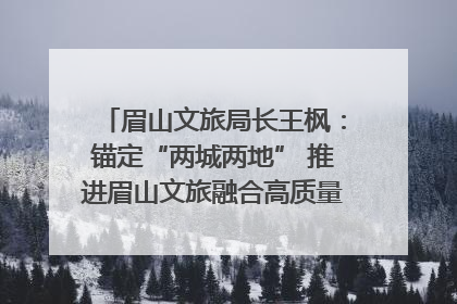 眉山文旅局长王枫：锚定“两城两地” 推进眉山文旅融合高质量发展｜文旅局长说