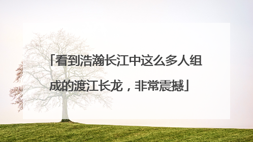 看到浩瀚长江中这么多人组成的渡江长龙，非常震撼