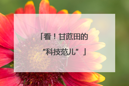 看！甘蔗田的“科技范儿”