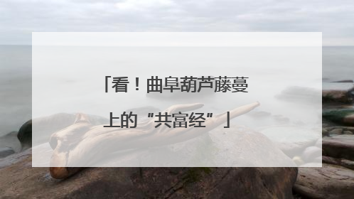 看！曲阜葫芦藤蔓上的“共富经”