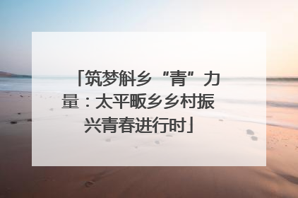 筑梦斛乡“青”力量：太平畈乡乡村振兴青春进行时