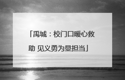 禹城：校门口暖心救助 见义勇为显担当