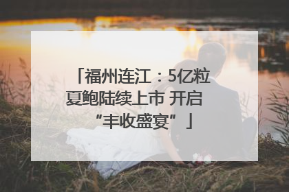 福州连江：5亿粒夏鲍陆续上市 开启“丰收盛宴”