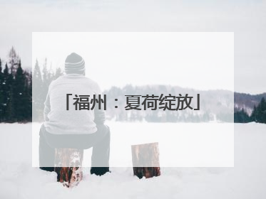 福州：夏荷绽放