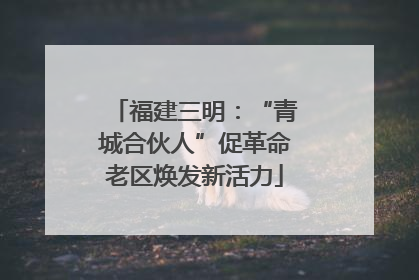 福建三明：“青城合伙人”促革命老区焕发新活力