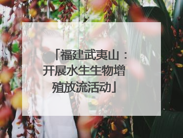 福建武夷山：开展水生生物增殖放流活动