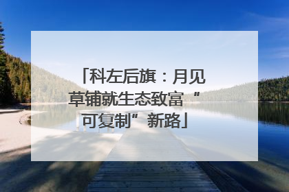 科左后旗：月见草铺就生态致富“可复制”新路