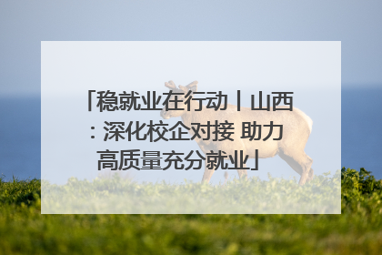 稳就业在行动丨山西：深化校企对接 助力高质量充分就业