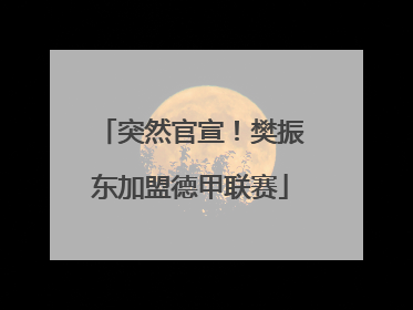 突然官宣！樊振东加盟德甲联赛