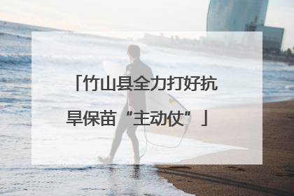 竹山县全力打好抗旱保苗“主动仗”