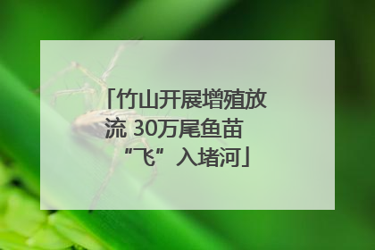 竹山开展增殖放流 30万尾鱼苗“飞”入堵河