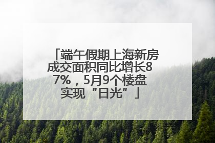 端午假期上海新房成交面积同比增长87%，5月9个楼盘实现“日光”